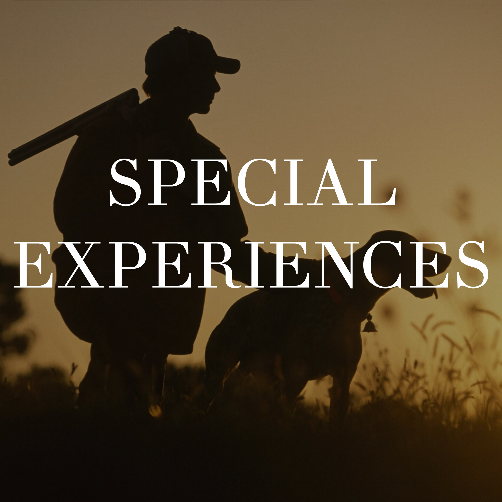 Special Experiences